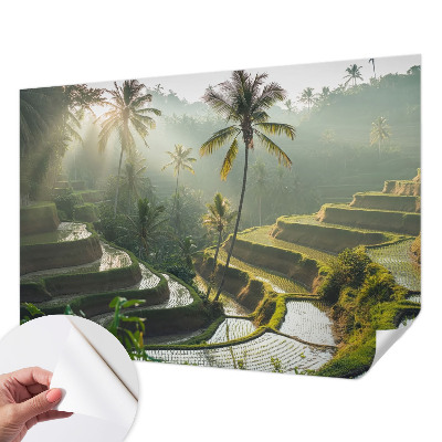 Carta da parati per cameretta Terrazze paradisiache