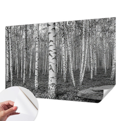 Carta da parati adesiva Foresta di betulle