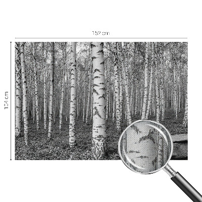 Carta da parati adesiva Foresta di betulle