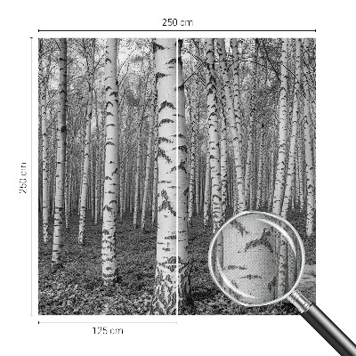 Carta da parati adesiva Foresta di betulle