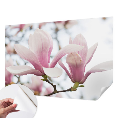 Carta da parati cameretta Fiori di magnolia
