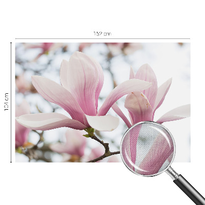 Carta da parati cameretta Fiori di magnolia