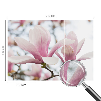 Carta da parati cameretta Fiori di magnolia