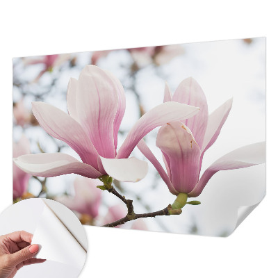 Carta da parati cameretta Fiori di magnolia