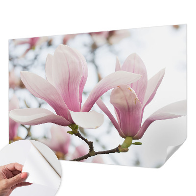 Carta da parati cameretta Fiori di magnolia