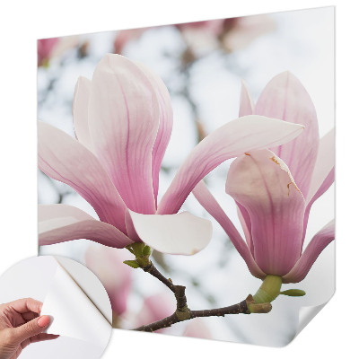 Carta da parati cameretta Fiori di magnolia