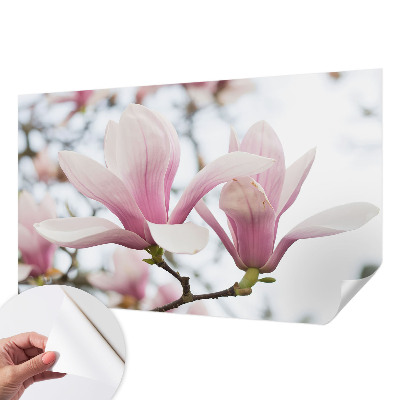 Carta da parati cameretta Fiori di magnolia
