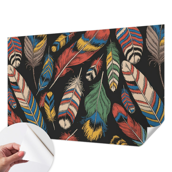 Carta da parati adesiva Piume colorate