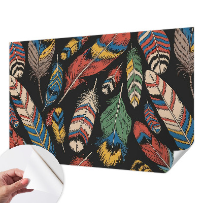 Carta da parati adesiva Piume colorate