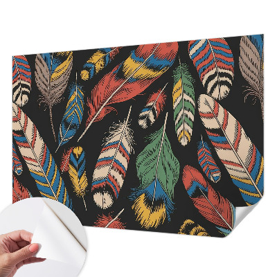 Carta da parati adesiva Piume colorate