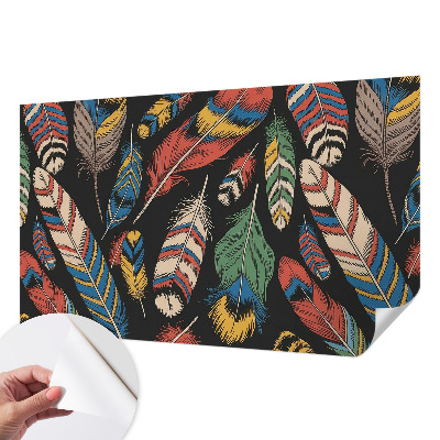 Carta da parati adesiva Piume colorate