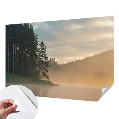 Carta da parati 3D Mattina nebbiosa