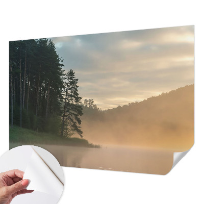 Carta da parati 3D Mattina nebbiosa