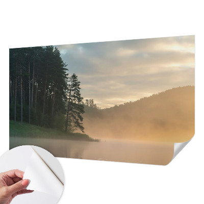 Carta da parati 3D Mattina nebbiosa