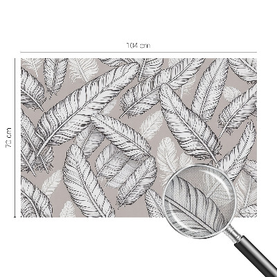 Fotomurale 3D Piume delicate