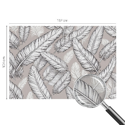 Fotomurale 3D Piume delicate