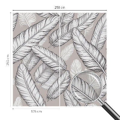 Fotomurale 3D Piume delicate