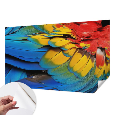 Carta da parati cameretta Piume arcobaleno