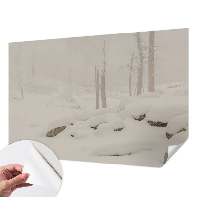 Carta da parati 3D Foresta innevata