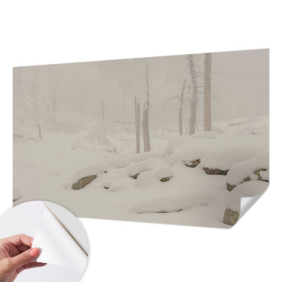 Carta da parati 3D Foresta innevata