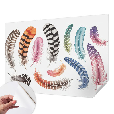 Fotomurale per cameretta Piume pastello