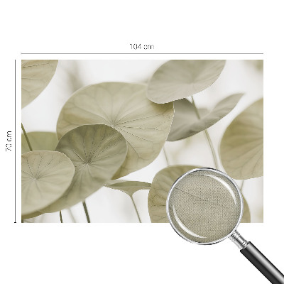 Carta da parati 3D Eleganza naturale