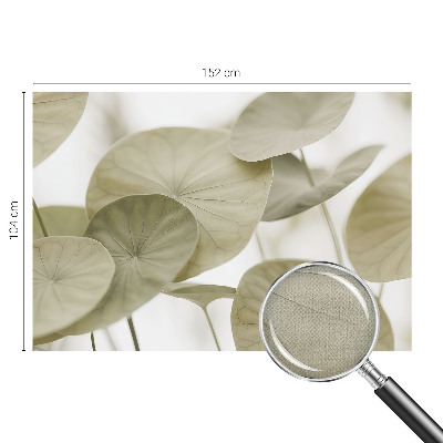 Carta da parati 3D Eleganza naturale