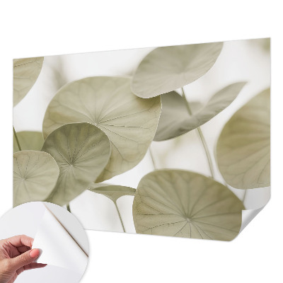 Carta da parati 3D Eleganza naturale