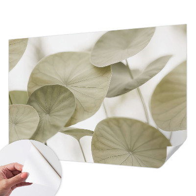 Carta da parati 3D Eleganza naturale