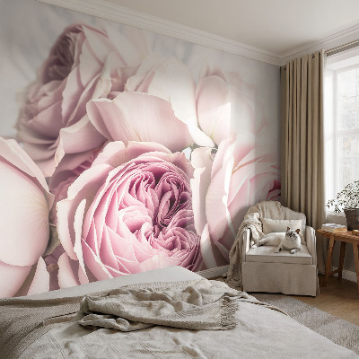 Carta da parati 3D Rose rosa