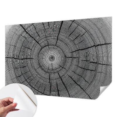 Carta da parati panoramica effetto 3D Armonia della foresta