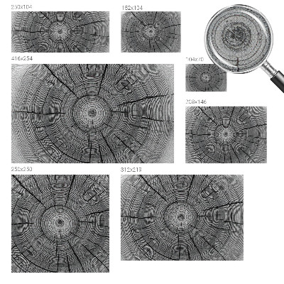 Carta da parati panoramica effetto 3D Armonia della foresta