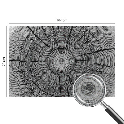 Carta da parati panoramica effetto 3D Armonia della foresta
