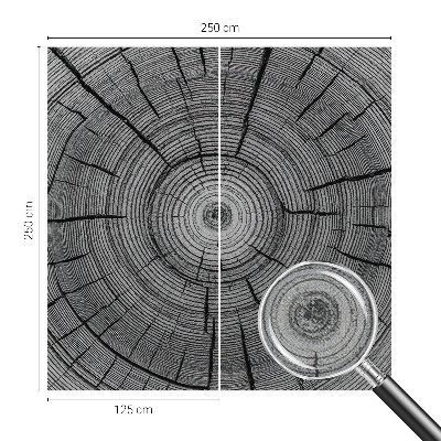 Carta da parati panoramica effetto 3D Armonia della foresta