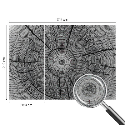 Carta da parati panoramica effetto 3D Armonia della foresta