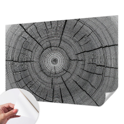 Carta da parati panoramica effetto 3D Armonia della foresta