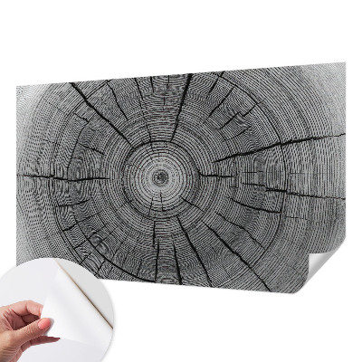 Carta da parati panoramica effetto 3D Armonia della foresta