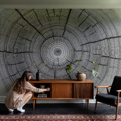 Carta da parati panoramica effetto 3D Armonia della foresta