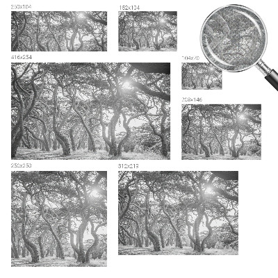 Fotomurale effetto 3D Foresta atmosferica