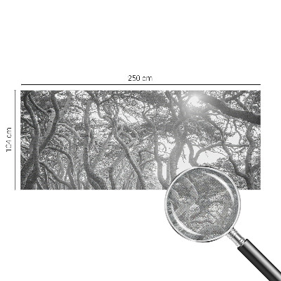 Fotomurale effetto 3D Foresta atmosferica