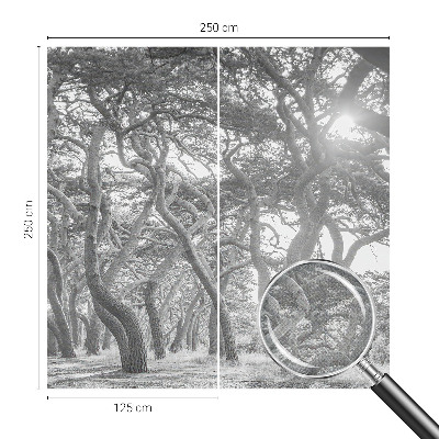 Fotomurale effetto 3D Foresta atmosferica