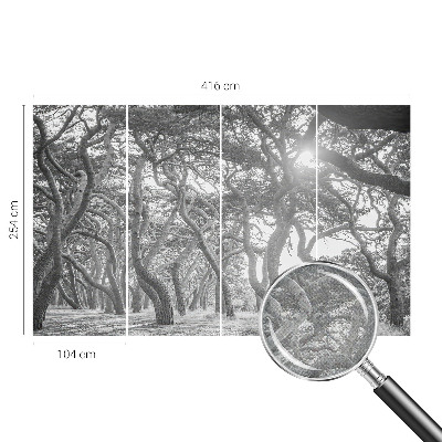 Fotomurale effetto 3D Foresta atmosferica