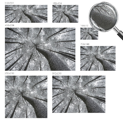 Carta da parati per cameretta Paesaggio invernale