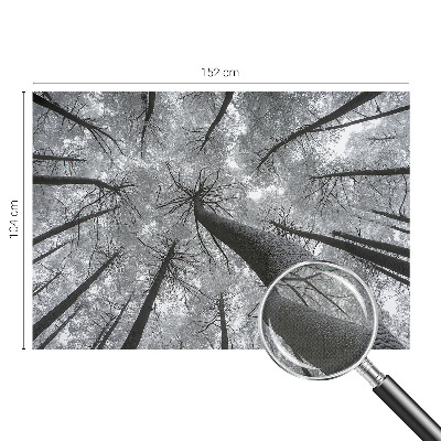 Carta da parati per cameretta Paesaggio invernale