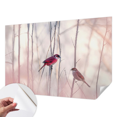 Carta da parati panoramica effetto 3D coppia di uccelli