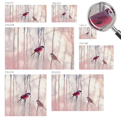 Carta da parati panoramica effetto 3D coppia di uccelli