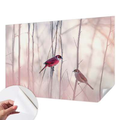 Carta da parati panoramica effetto 3D coppia di uccelli