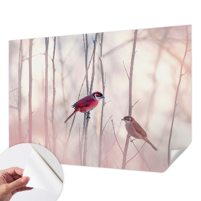 Carta da parati panoramica effetto 3D coppia di uccelli