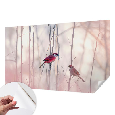 Carta da parati panoramica effetto 3D coppia di uccelli