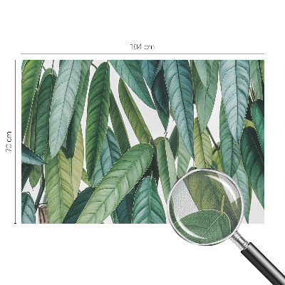 Fotomurale per cameretta Foglie naturali